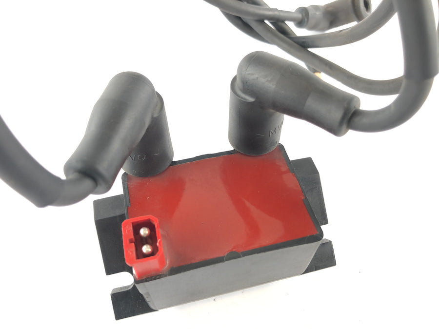 BMW R 1150 R R21 [2002] - Bobina de ignição com plugue