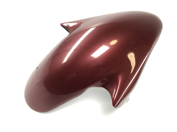 Benelli TNT 1130 [2009] - Guarda-lamas dianteiro