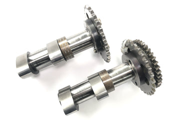 Aprilia RSV 1000 RP Mille [2001] - Sada vačkového hřídele, vačkový hřídel zadního výfuku a zadní válec vačkového hřídele sání