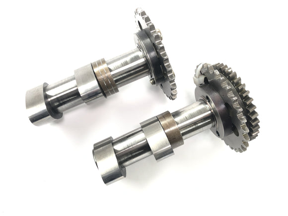 Aprilia RSV 1000 RP Mille [2001] - Sada vačkového hřídele, vačkový hřídel zadního výfuku a zadní válec vačkového hřídele sání