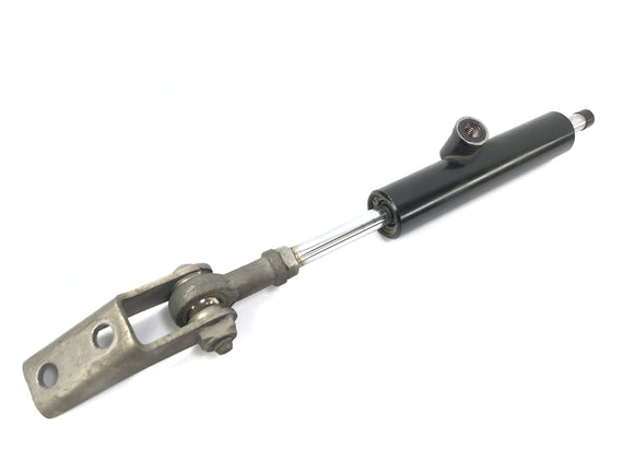 BMW K 1300 R K12S [2014]  - 转向阻尼器