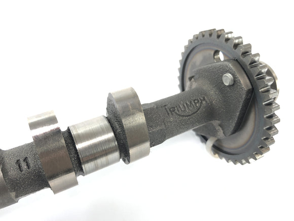 Triumph Daytona 900 T300 [1993] - Eixo de cames de cames de saída eixo de cames