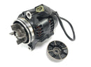 Kawasaki ZX -10 ZXT00B [1990] - alternator with jerk dampers-4