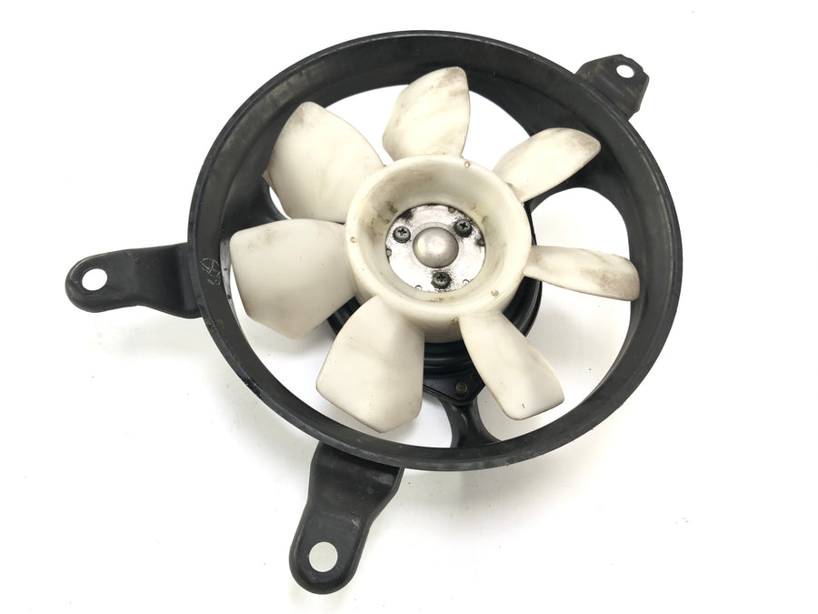 Triumph Daytona 955i T595 [1999] - køligere fan fan fan fan fan fan