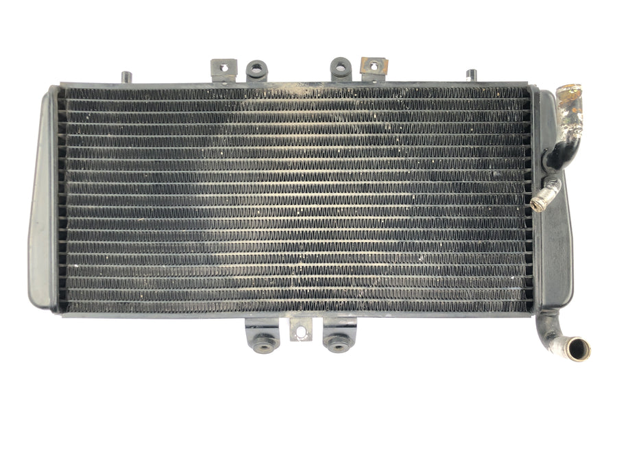 トライアンフ デイトナ 955I T595 [1998] - ラジエーターウォータークーラー