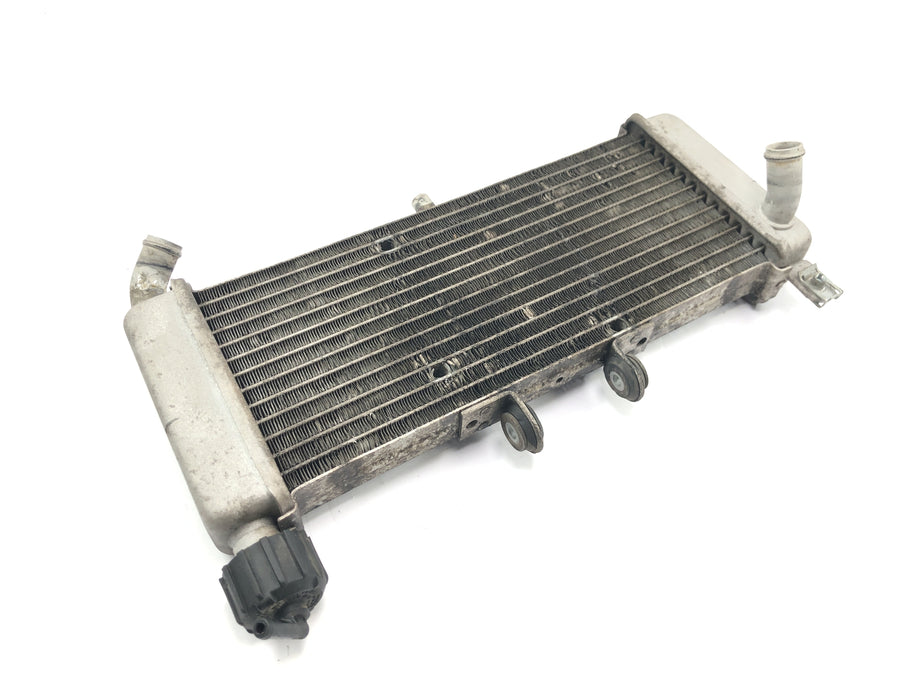 Aprilia RS 125 TW [2017] - Jäähdyttimen vesijäähdyttimen jäähdytysjärjestelmän patteriverkko