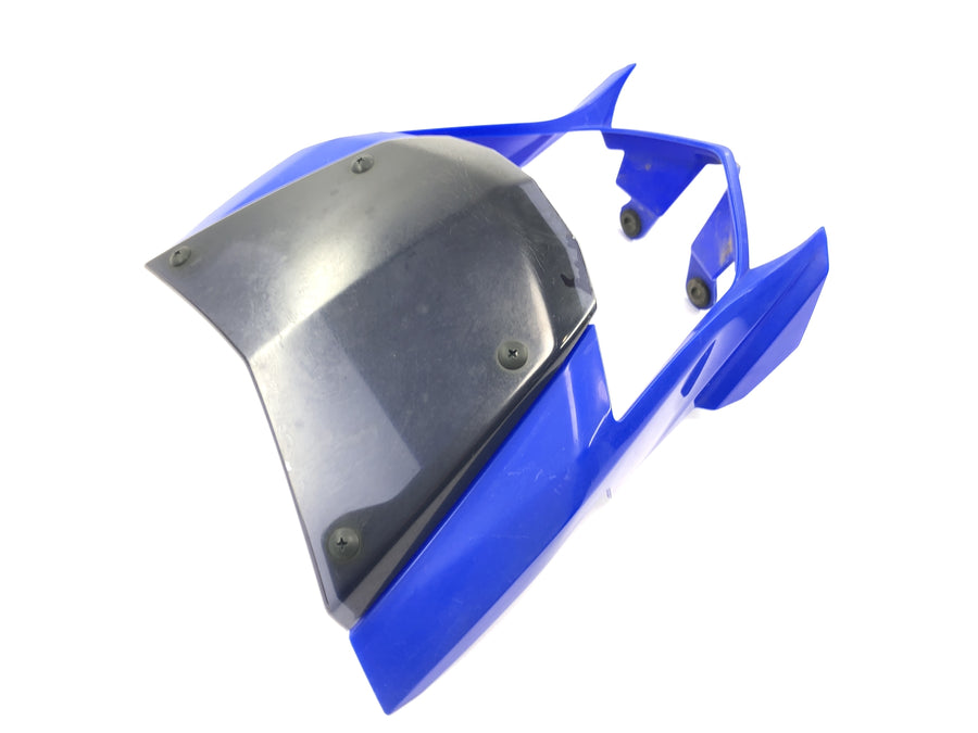 Yamaha WR 125 X DE07 [2010] - Frontverkleidung Lampenmaske Verkleidung