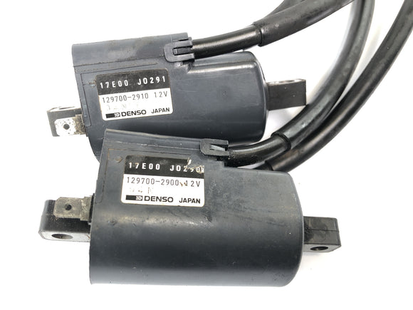 Suzuki GSX-R 1100 W GU75 C [1994] - Conjunto de bobina de ignição