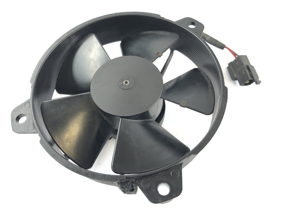 Yamaha XT 660 DM01 [2004] - Fan Fan Fan Fan Fan Fan Fan
