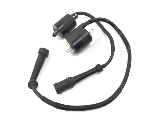 Yamaha XVS 650 Drag Star VM03 [2001] - Modulo di accensione del modulo di accensione della bobina di accensione Set di cavi di accensione