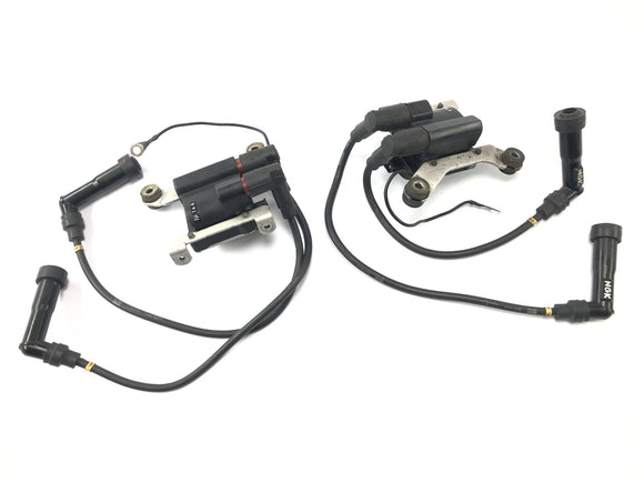 BMW K 1100 LT 100 [1994] - Пара модулей зажигания зажигания модулей зажигания