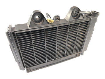 Triumph Daytona 900 T300 [1993] - chłodnica chłodnicy chłodnej wody z przodu