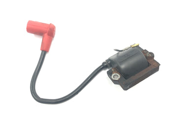 Yamaha DT 175 2K4 [1982] - Катушка зажигания Модуль катушки зажигания с кабелем зажигания