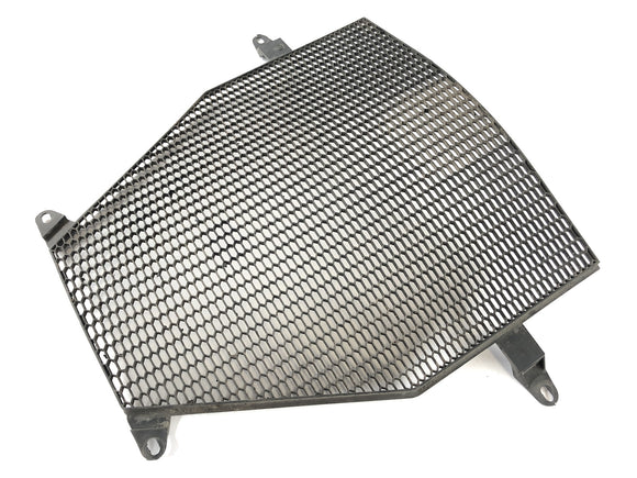 BMW K 1300 S K12S [2010]  - 真正的格栅保护格栅