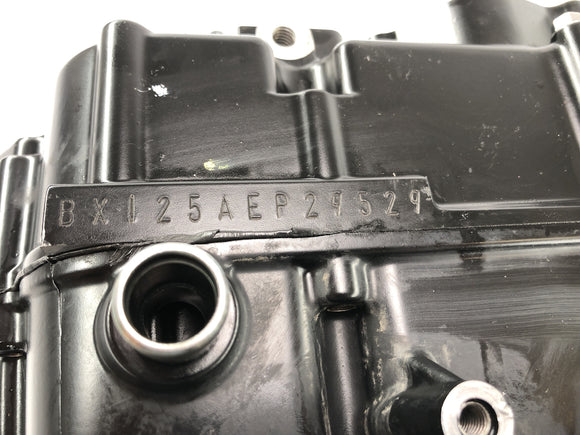 Kawasaki Ninja 125 BX125B [2024] - Motorhus tomt bostad