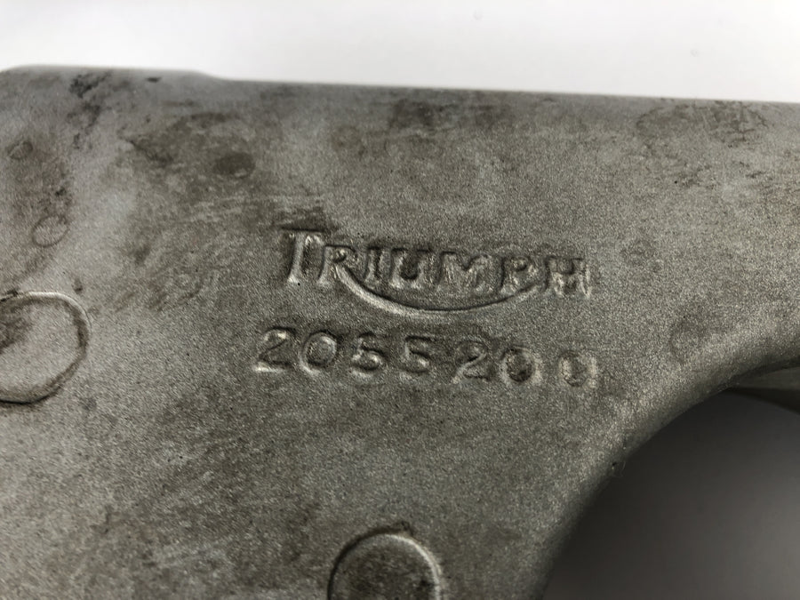 Triumph Speed Triple 955i [1999] - Schwinge Einarmschwinge