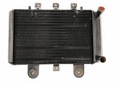 Triumph Thunderbird 900 T309RT [1995] - Kühler Wasserkühler Radiator Kühlsystem-4