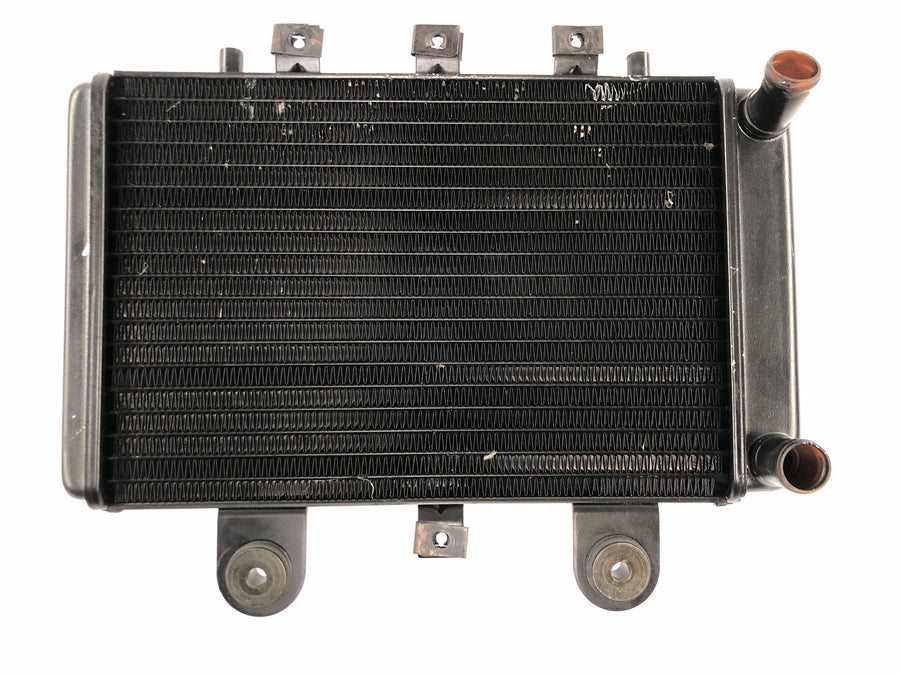 Triumph Thunderbird 900 T309RT [1995] - Kühler Wasserkühler Radiator Kühlsystem
