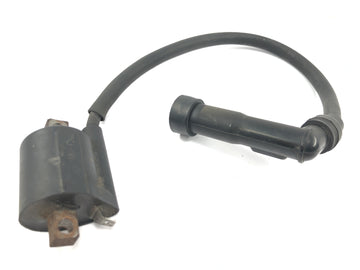 Beta RR 125 [2018] - Zündspule Zündspulenmodul mit Zündkabel Zündkerzenstecker