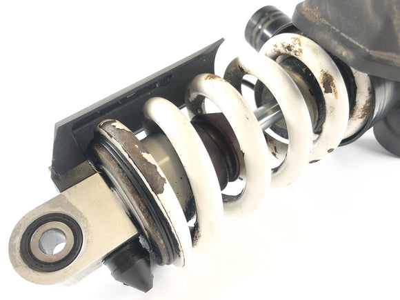 宝马K 1300 S K12S [2010]  - 背后的春季冲击吸收器