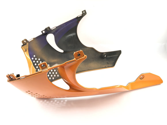 Honda CBR 900 RR SC28 [1994] - замаскированная подкара