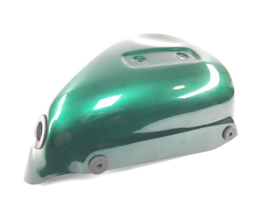 トライアンフ サンダーバード 900 T309RT [1995] - サイドパネル 左サイドカバー カバー