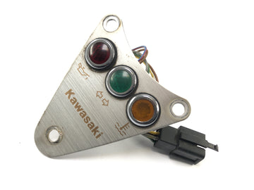 Kawasaki VN 800 Classic [2000] - Armaturen Kontrollleuchten mit Blende