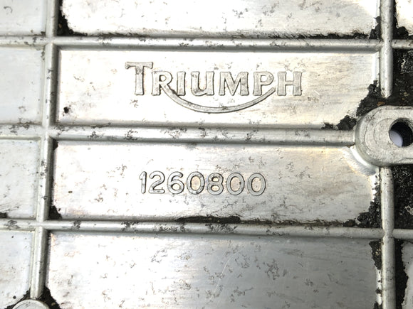 Triumph Thunderbird 900 T309RT [1996] - Моторная крышка Spot Cover