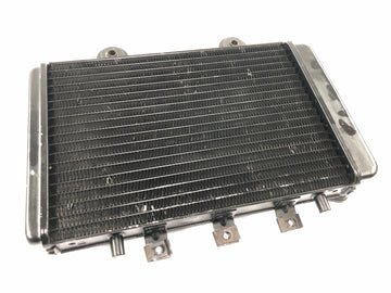 Triumph Thunderbird 900 T309RT [1995] - Kühler Wasserkühler Radiator Kühlsystem