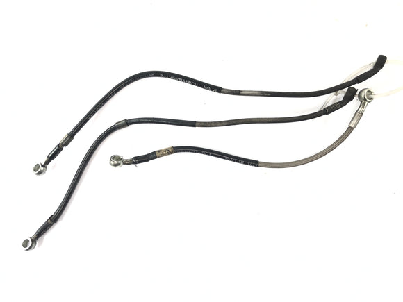 トライアンフ デイトナ 900 T300 [1996] - ブレーキライン フロント ブレーキライン ホース