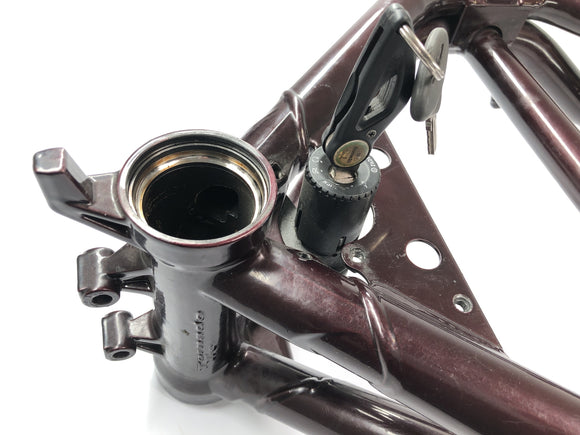 Benelli TNT 1130 [2009] - Ramme med papirer