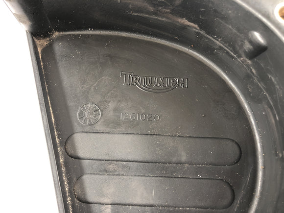 Triumph Speed ​​Triple 955i [1999] - Pineager pokrytí