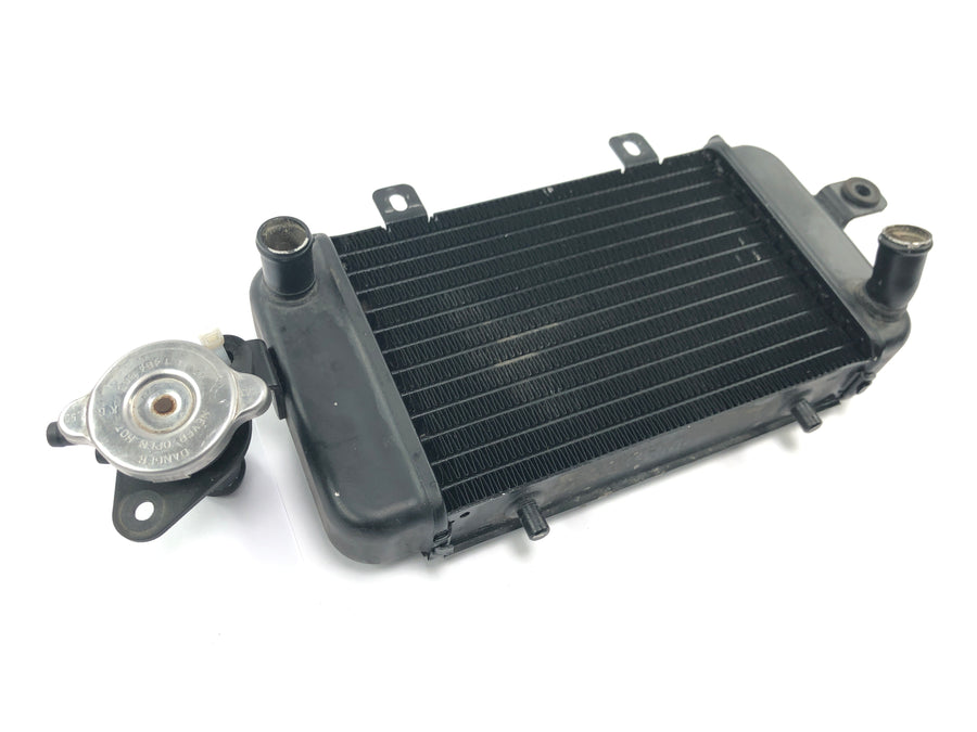 BMW C1 125 [2002] - Kühler Wasserkühler Kühlradiator Kühlsystem mit Einfüllstutzen