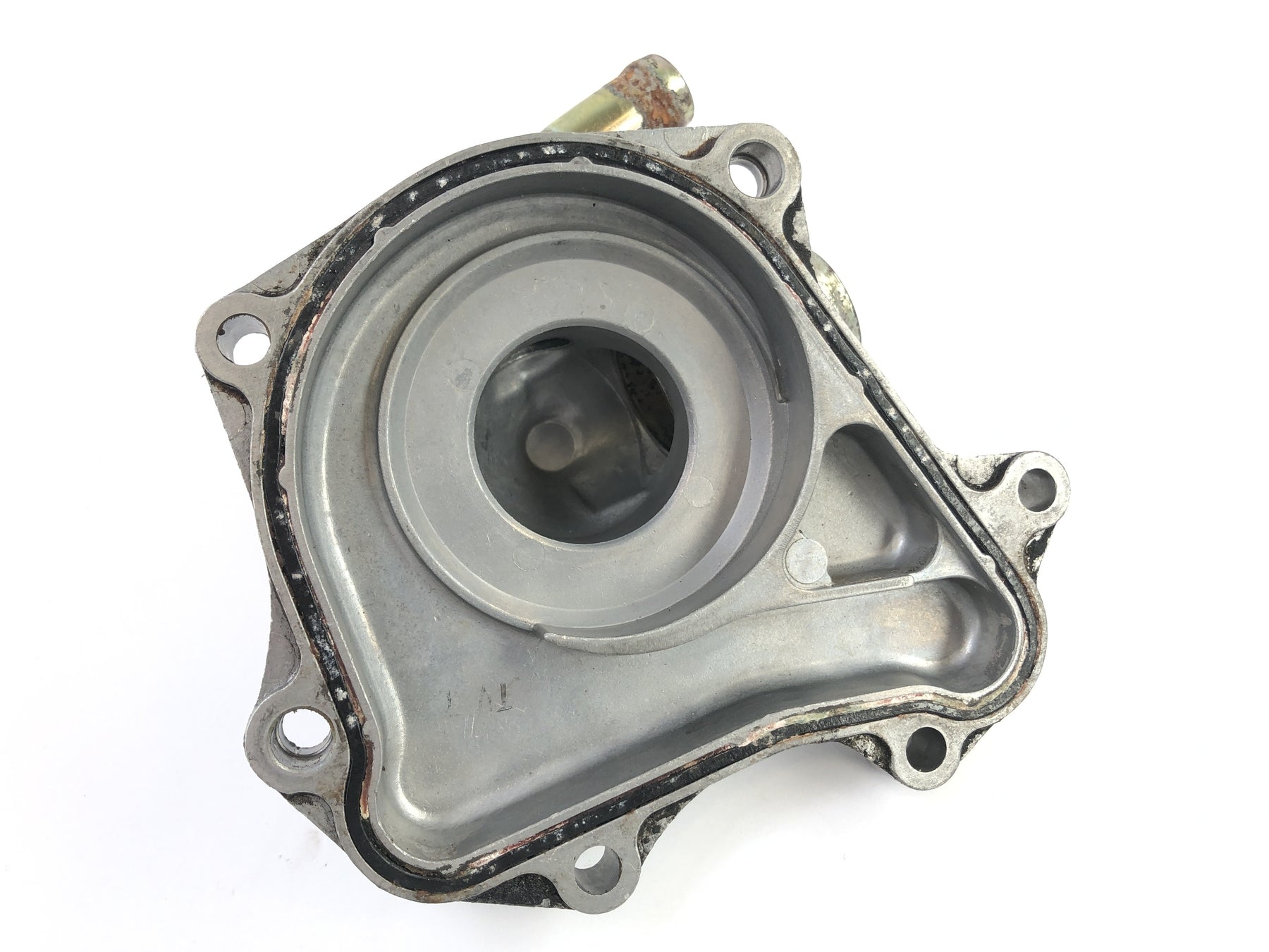 Honda VTR 1000 SP 1 SC45 [2001] - Engine cover water pump cover