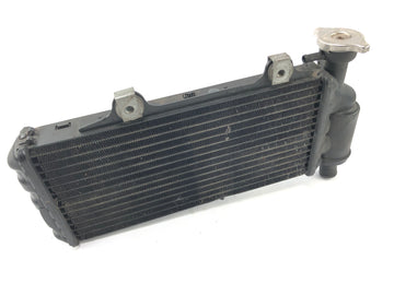 BMW F 650 GS R13 [2002]  - フロントの冷たいクーラーモータークーラー