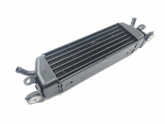 BMW R 1150 RT R22 [2001] - Gruppo di raffreddamento radiatore olio