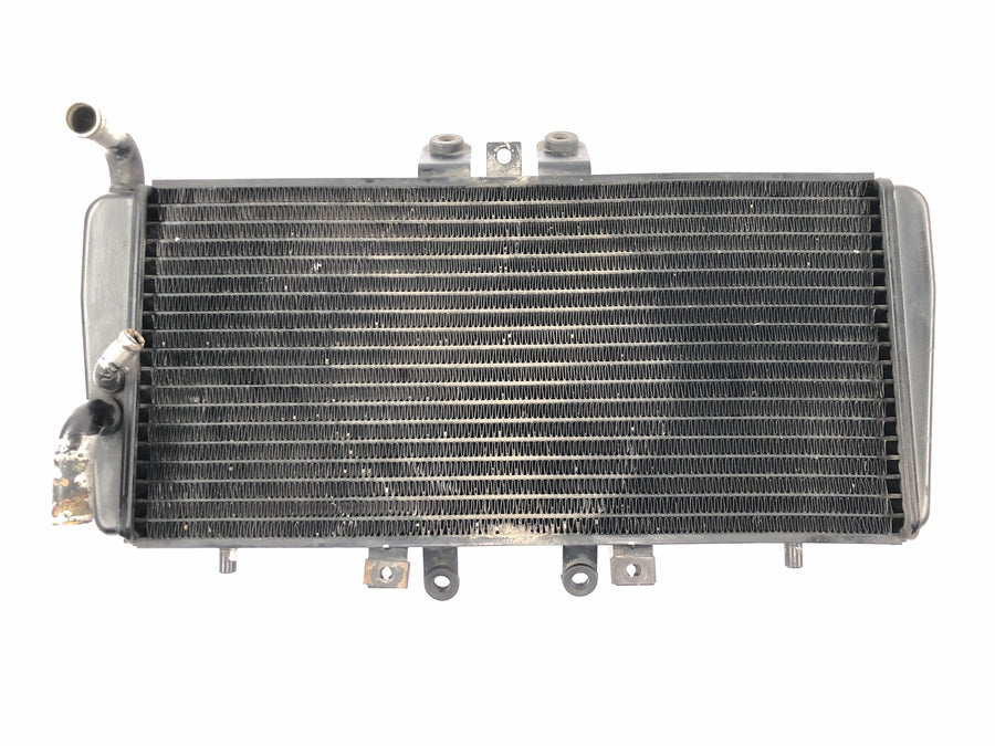 トライアンフ デイトナ 955I T595 [1998] - ラジエーターウォータークーラー