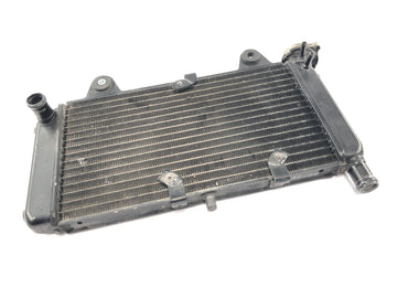 Yamaha MT 03 RM02 [2007] - Kühler Wasserkühler Motorkühler Kühlsystem Radiator - 0