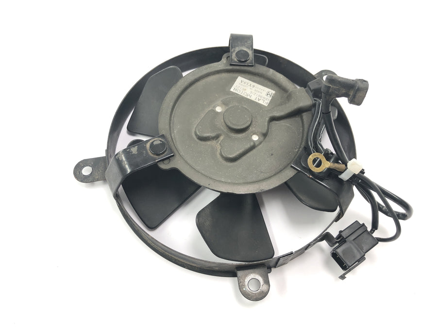 本田 CBR 900 RR Fireblade SC33 [2000] - 散热器风扇轮电风扇