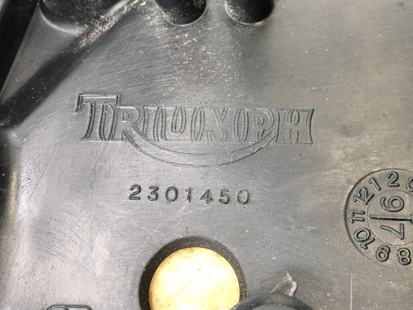 Triumph Speed ​​Triple T509 [1998] - Bijrijdersbank