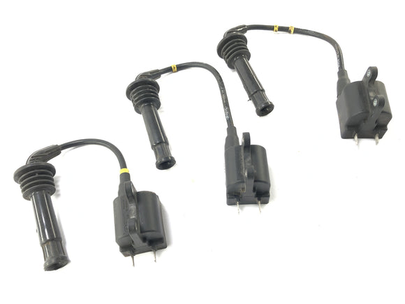 Triumph Thunderbird 900 T309RT [1996] - катушки зажигания с вилками