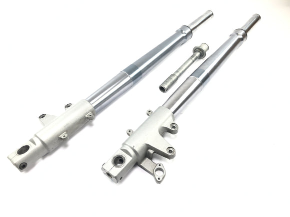 BMW R 1100 S R2S [2000] - Forcella anteriore Telelever con perno