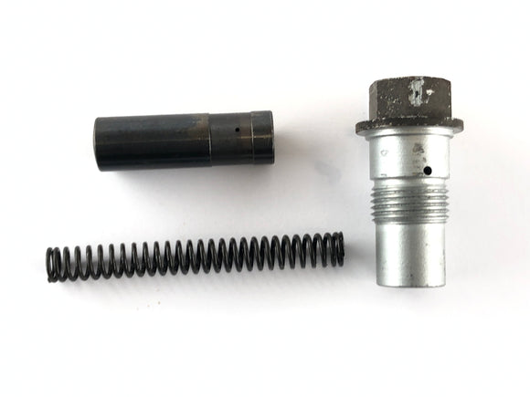 BMW R 1150 R R21 [2002] - napínač daňového řetězce