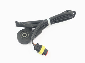 Aprilia RSV 1000 R [2004] - Seitenständerschalter