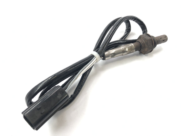 Triumph Daytona 955i T595N [2003] - Lambdasonde