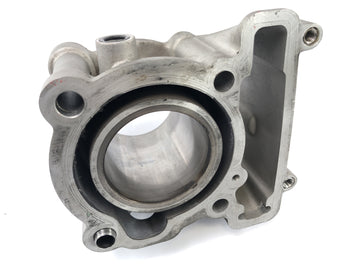 SWM SM 125 R [2018] - Cylindre