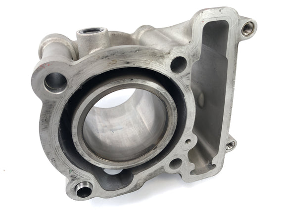 SWM SM 125 R [2018] - Cylinder