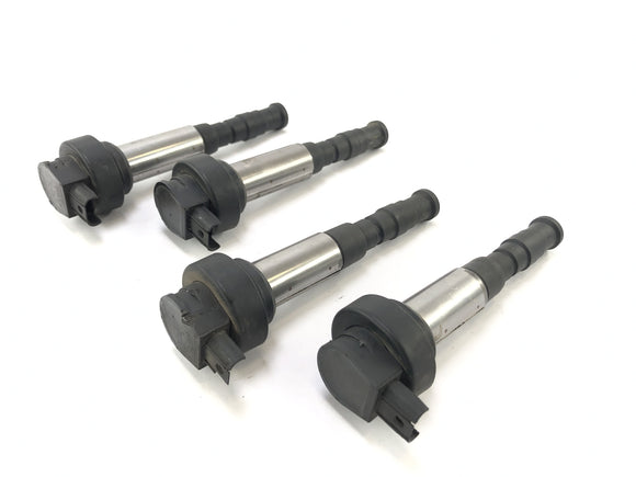 BMW K 1300 R K12S [2014] - Zündspulen Set