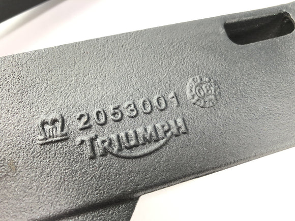 Triumph Street Triple R 675 D67LD [2010] - свинг -качание задних колес