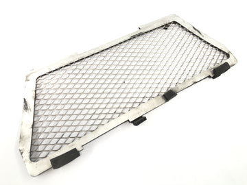 BMW R 1150 GS R21 [2002] - Ochranný panel mřížky chladiče vpředu